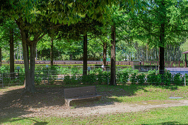 istock Lush Green Park Trail on a Sunny Day 2214499575