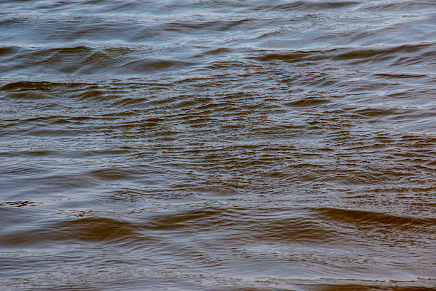 Background of the Dnieper River water surface with ripples. Water with small waves.