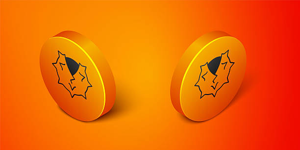 istock Isometric Chestnut icon isolated on orange background. Barbed and strong chestnut. Orange circle button. Vector 2214503175
