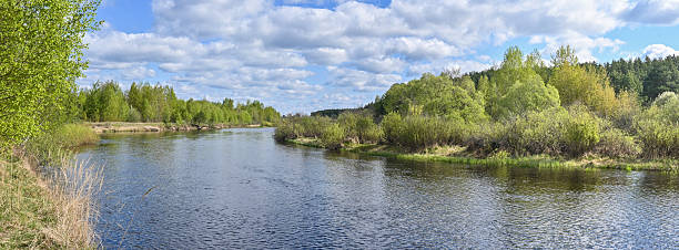 istock Meshchersky National Park. 2214504226