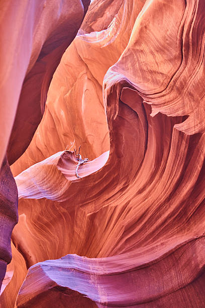 istock Antelope Canyon Sandstone Beauty, Light Play and Textures, Arizona 2214513589