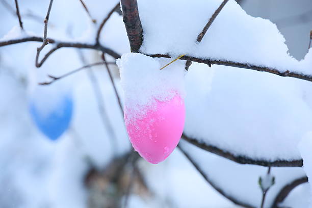 A pink and blue egg is hanging from a tree branch covered in snow. The egg is surrounded by a blue and pink snow, creating a festive and playful atmosphere