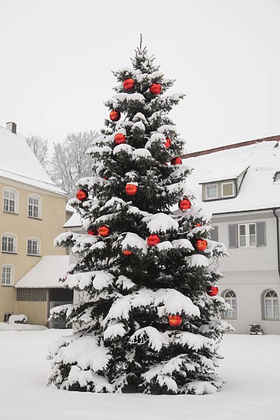 Tall evergreen tree covered in snow and red ornaments. The tree is surrounded by a building with windows