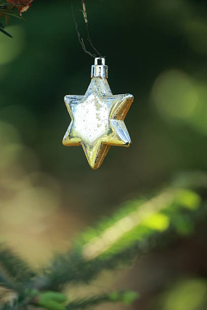 A gold star with a silver center hangs from a tree branch. The star is surrounded by green leaves, giving the impression of a festive and joyful scene