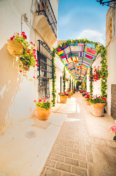 istock A colorful archway with potted plants and flowers on either side. 2214520682