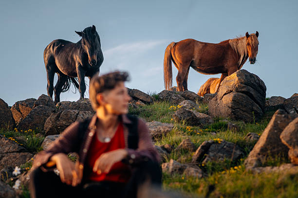Adult man with horse outdoors on grass.