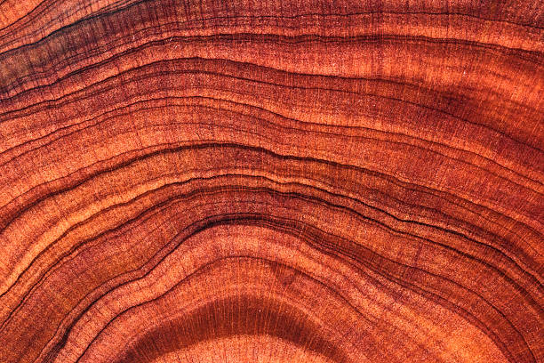 istock Wood plank to use as background and texture. 2214525964