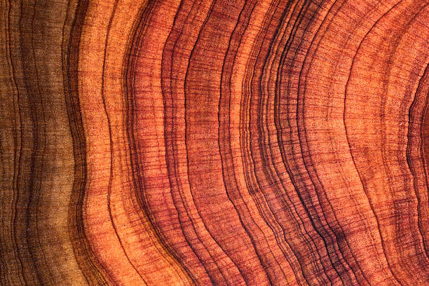 istock Wood plank to use as background and texture. 2214525967
