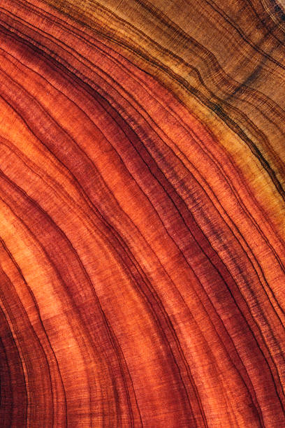 istock Full frame shot of wooden floor 2214526547