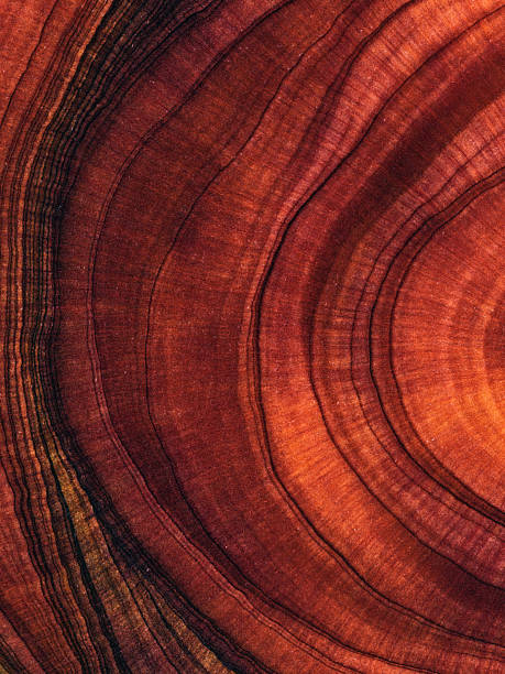 istock Full frame shot of wooden floor 2214526552