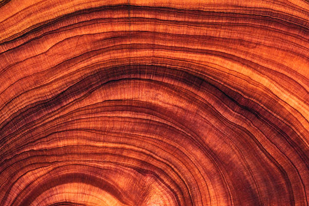 istock Full frame shot of wooden floor 2214526562