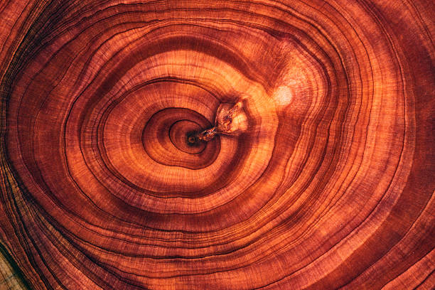 Wooden Plank Textured Background Material. Full frame shot of wooden floor.