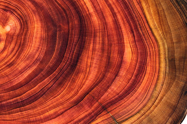istock Full frame shot of wooden floor 2214526573