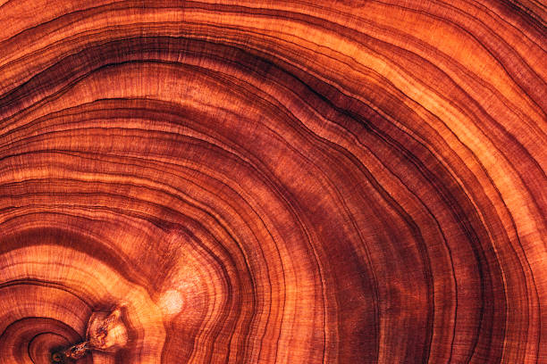 istock Full frame shot of wooden floor 2214526581