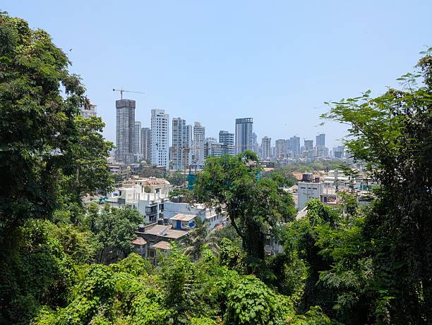 istock Cityscape from the woods 2214527950