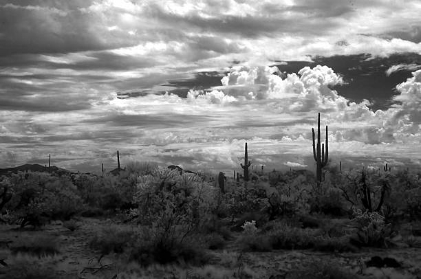 istock San Tan Mountains Sonora Desert Arizona Monochrome 2214529082