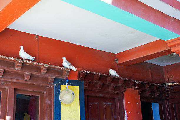 Walking tour of famous city places of Kathmandu Valley.