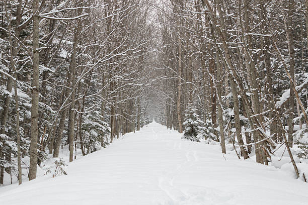 Snow-covered abandoned railway line used for winter hiking trail, Hokkaido