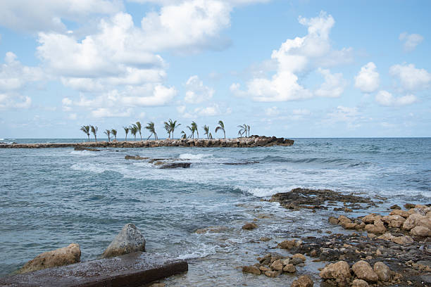 A rocky shoreline with palm trees and waves in Trelawny, Jamaica.