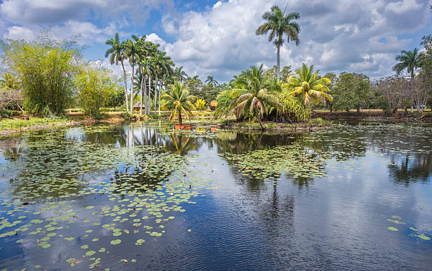 istock Criadero de Cocodrilos - a crocodile breeding facility in Cuba 2214546019
