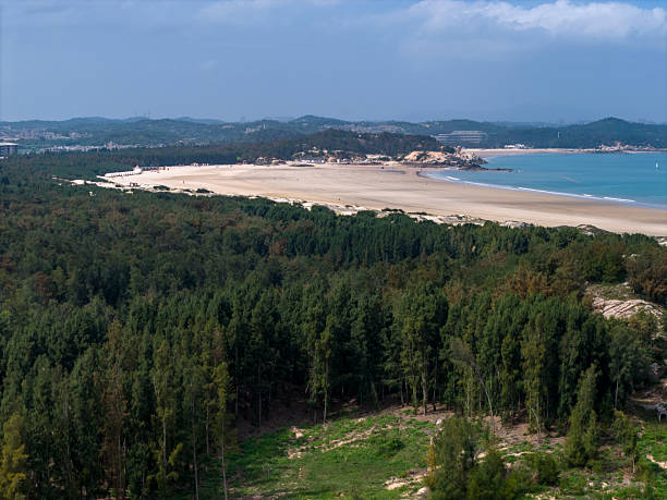 A serene coastal scene featuring dense green vegetation in the foreground, transitioning into a sandy beach and calm blue sea under a clear sky. The visual style is naturalistic, evoking tranquility and relaxation. Potential uses include travel brochures, nature documentaries, or calming background imagery.