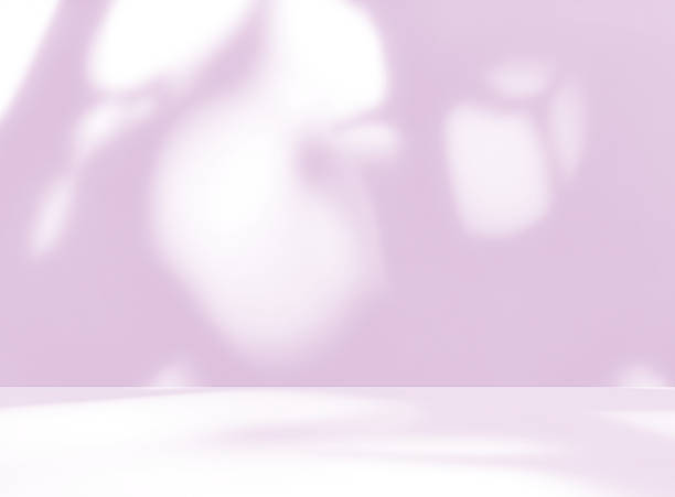 istock Empty purple studio room for product presentation with shadow of tree leaves on the wall. 2214552380