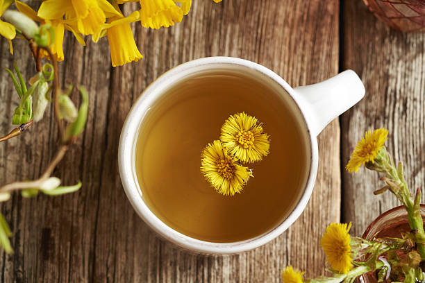 istock Coltsfoot tea with fresh Tussilago flowers in a white cup 2214558391