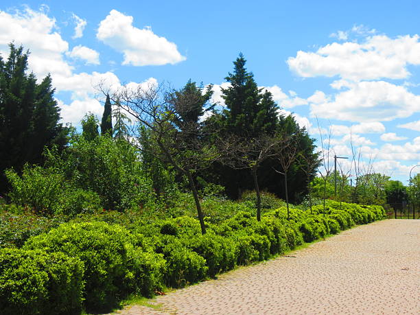 Madrid, Spain - Public park .