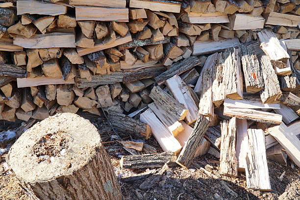chopped and arranged fire wood pile