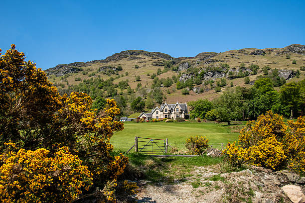 istock Scottish landscape, Stirling council 2214577007