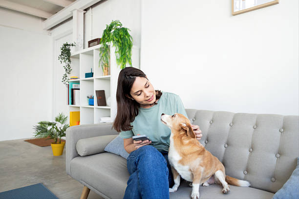 istock Woman engaging with her dog on a cozy sofa 2214583282