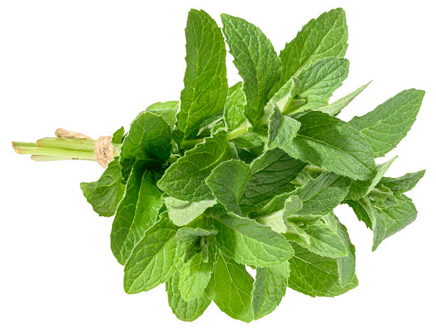istock Mint sprigs tied with rope on isolated background 2214583881