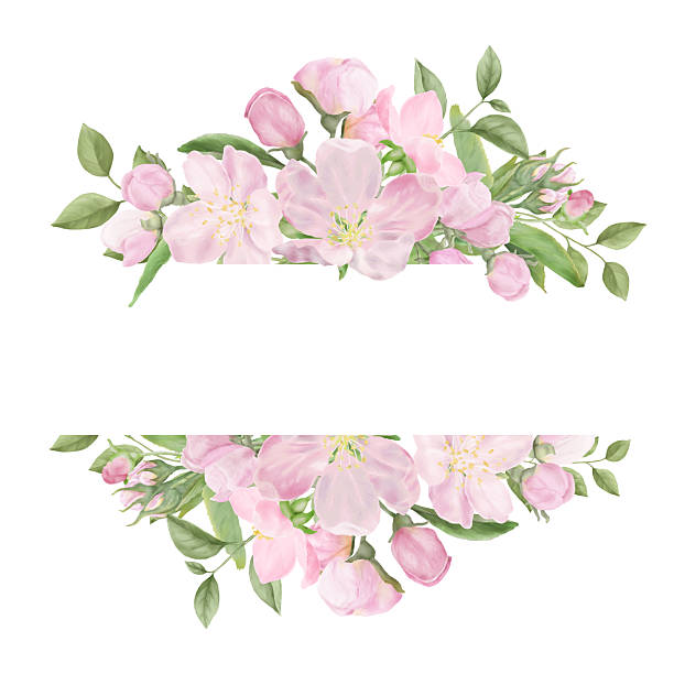 istock Delicate pink flowers and spring branches with leaves on a floral horizontal frame. Watercolor illustration. Banner and floral background, isolated on a white background. For postcards, invitations 2214585050