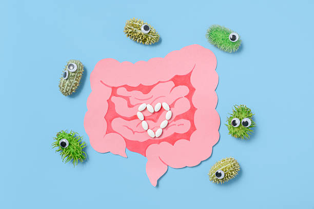 istock Paper Gut With Pills and Funny Bacteria on Blue Background 2214585227