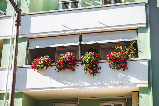 istock Balcony with blooming flower pots 2214585579