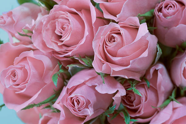 Soft pink floral bouquet with roses and carnations wrapped in pastel paper