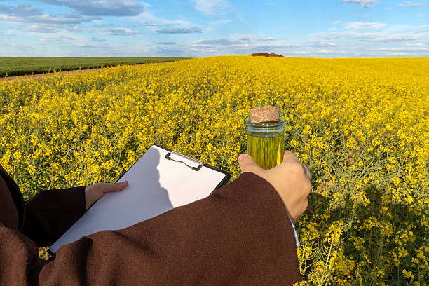 istock A researcher conducts quality analysis of biodiesel while holding a sample in a glass jar amidst a yellow canola field during midday 2214595746
