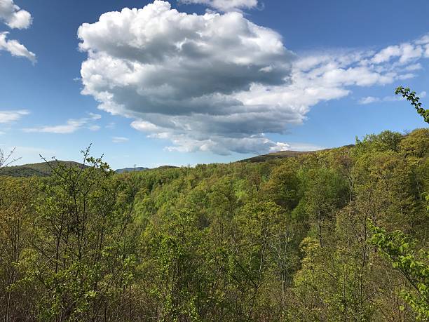 Spring scenes from Shenandoah national Park