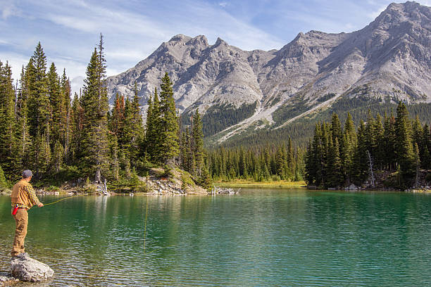 istock A man Fly fishing in the mountains 2214599454
