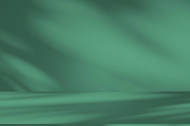 istock Studio style background wall decoration presentation uses white and green tones. with shadows cast from a nearby window, concept creating a decorative 2214611132