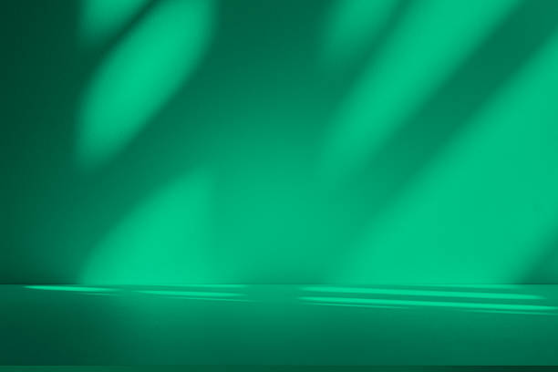 istock Studio style background wall decoration presentation uses white and green tones. with shadows cast from a nearby window, concept creating a decorative 2214611152