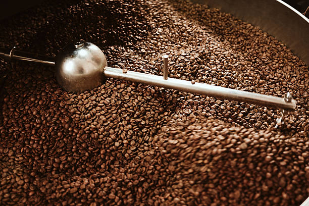 istock Freshly Roasted Coffee Beans in a Roasting Machine for Maximum Flavor and Aroma 2214611572