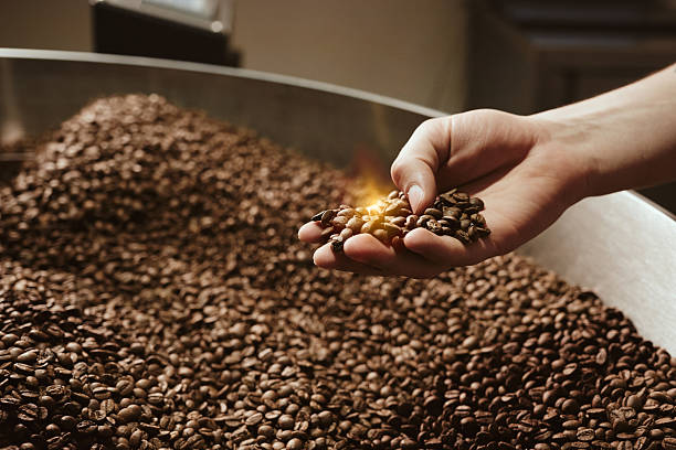 istock Person holding rich roasted coffee beans in hand 2214611601