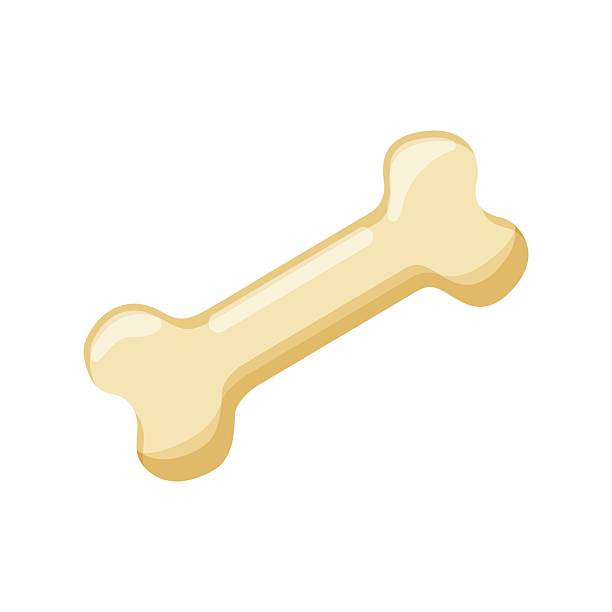 istock Dog bone icon in cartoon style. Human skeleton vector illustration on isolated background. Healthy orthopedic sign business concept. 2214615122