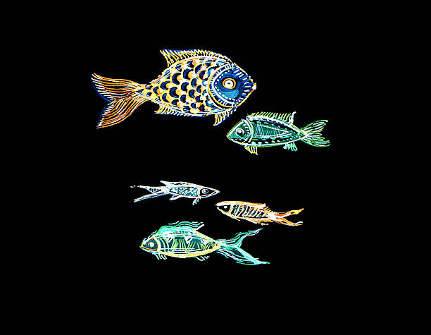 istock Illustration of colorful stylized fish. Fish of different sizes and shapes. Isolated on black background. 2214616055