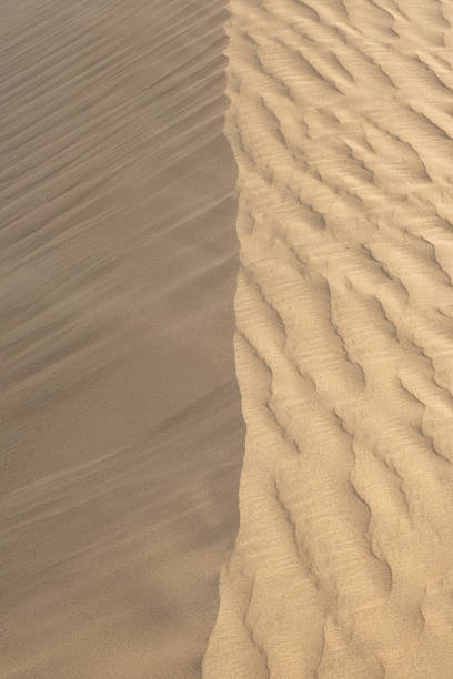istock Golden Sand Patterns with Ripples in a Desert Landscape 2214619529