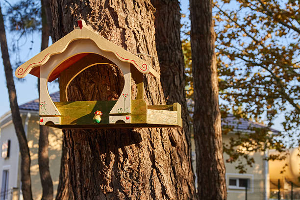 wooden house bird feeder on a tree trunk