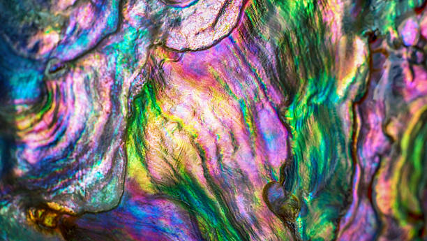 istock High magnification macro of nature texture pearl shell. Rainbow colors abstract background close-up. 2214634000