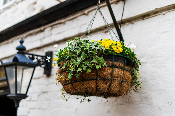 istock Charming Hanging Basket with Vibrant Flowers and Lush Ivy on Rustic Wall 2214643456