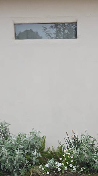 istock Minimalist White Wall with Narrow Window and Small Garden in Front 2214643944